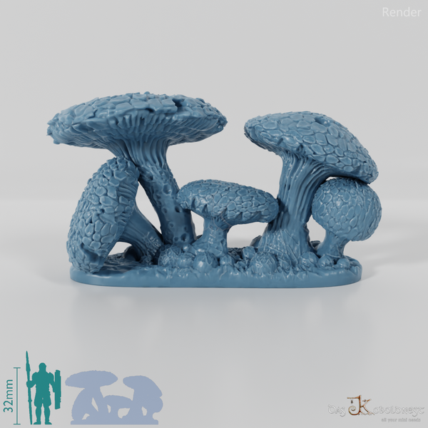 The Mushroom Forests - Low Giant Amanitas