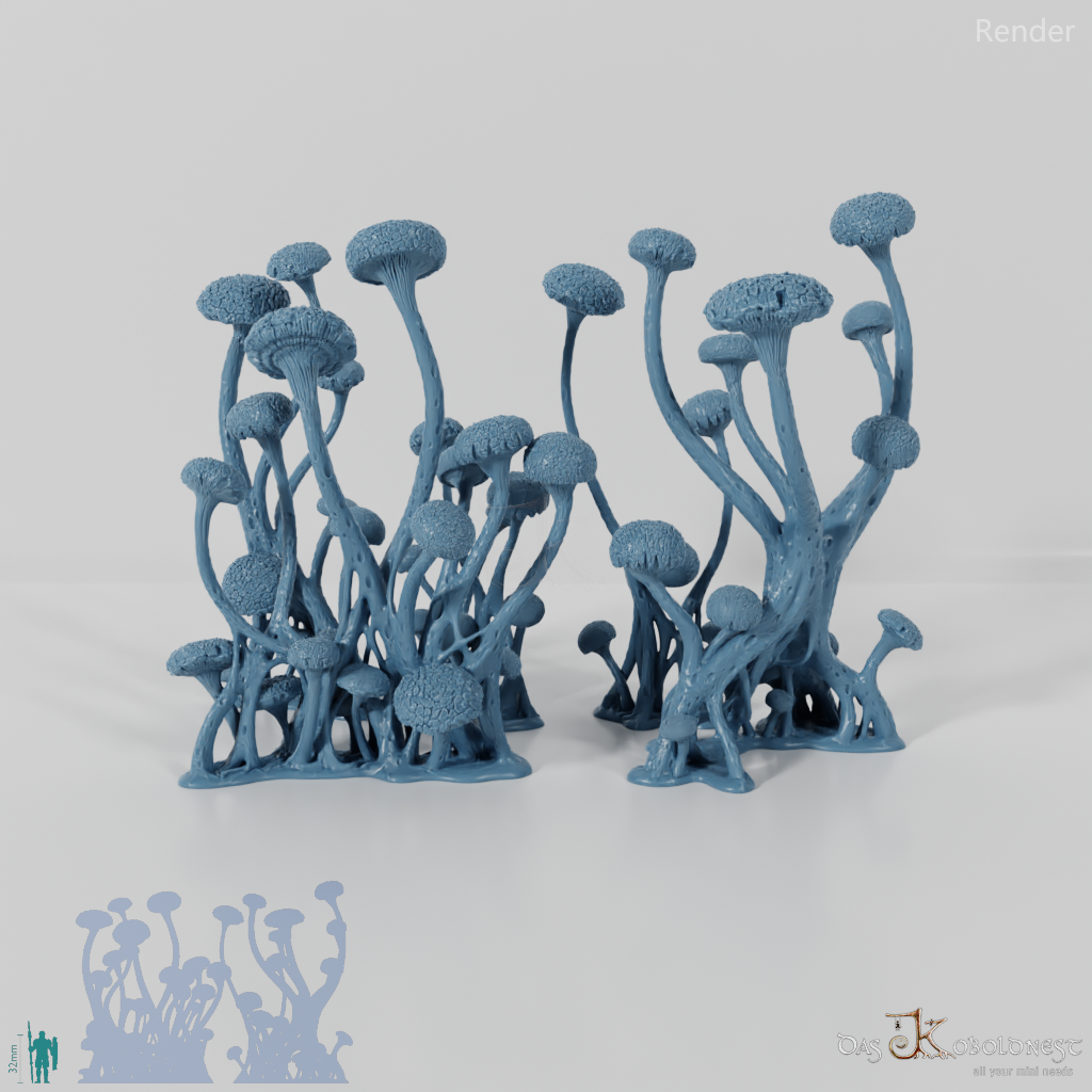 The Mushroom Forests - Complete Set