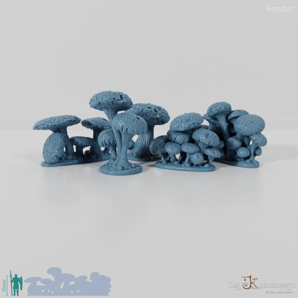 The Mushroom Forests - Complete Set