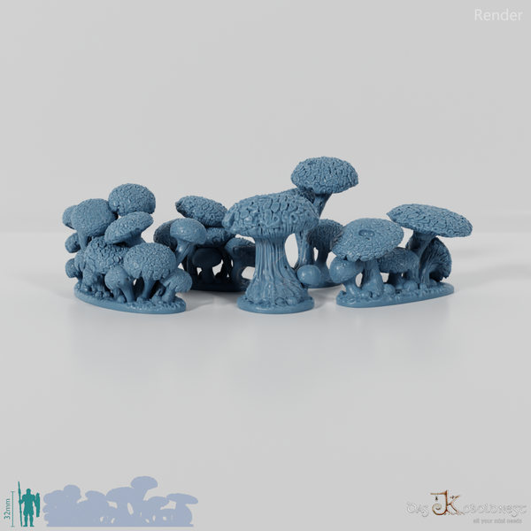 Die Pilzwälder - Komplettset