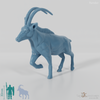 Antelope - Oryx 01