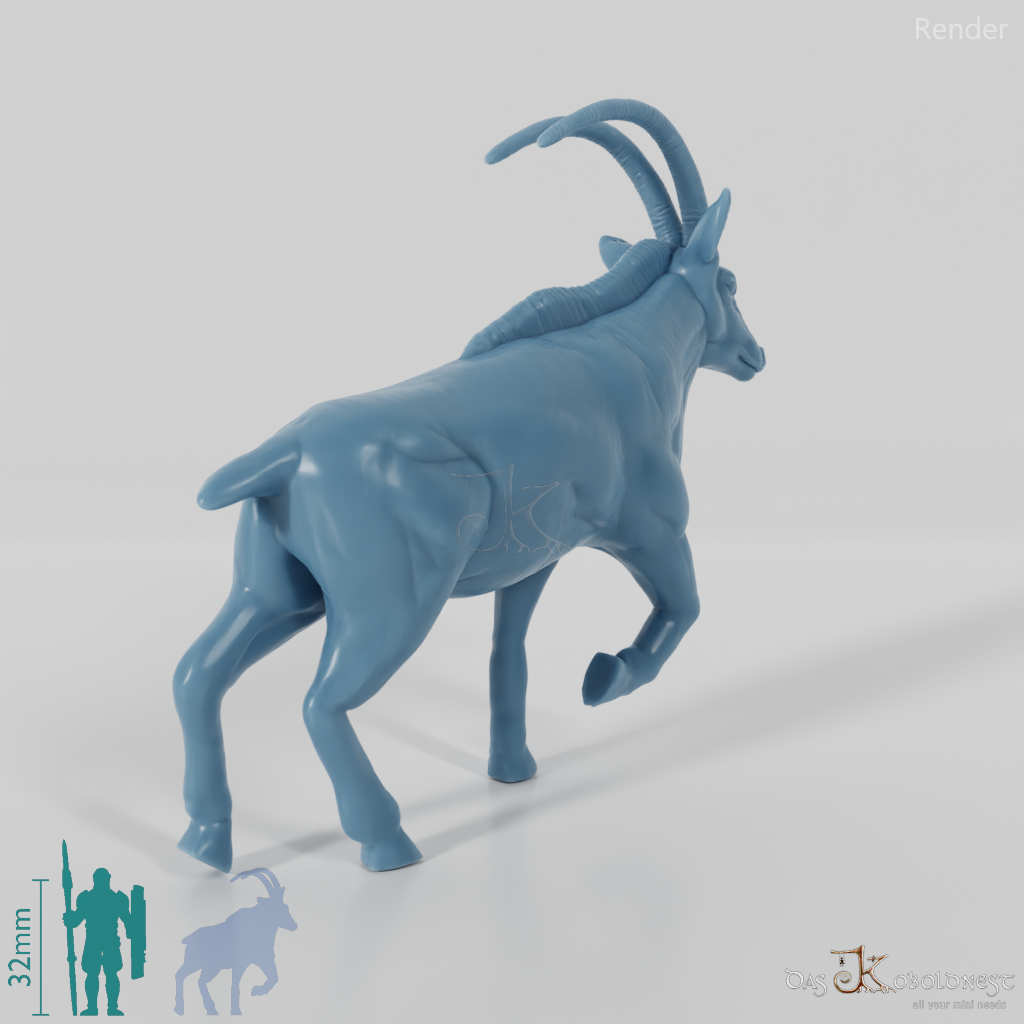 Antilope - Oryx 01