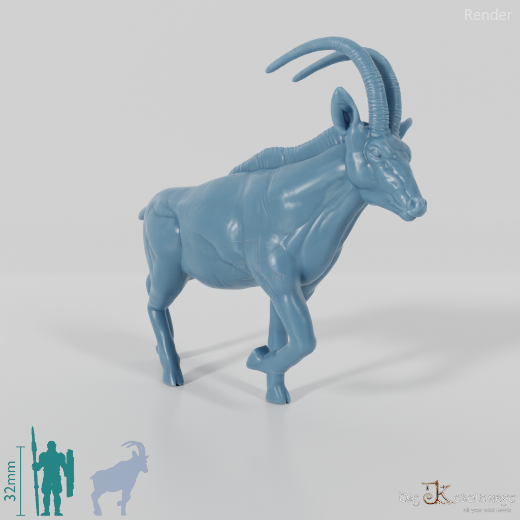Antilope - Oryx 01