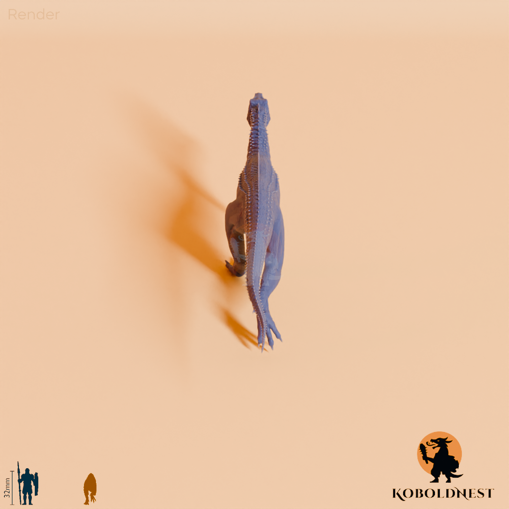 Arcovenator escotae 04