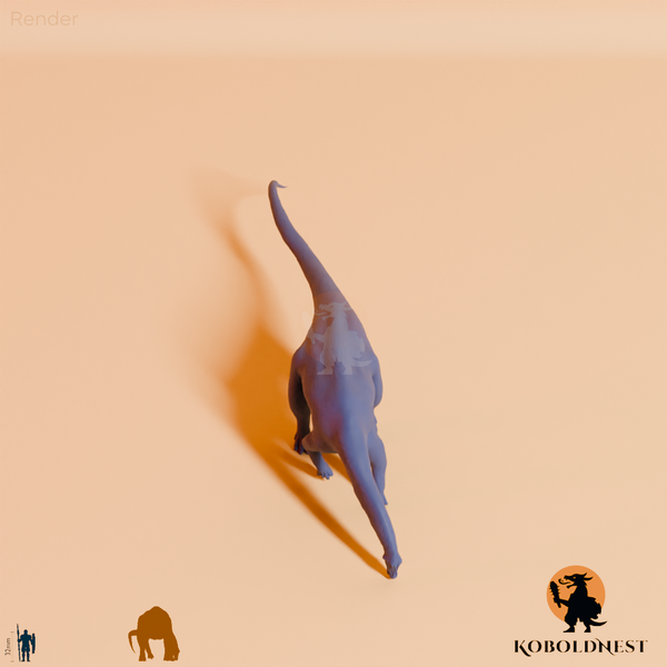 Astigmasaura genuflexa 02