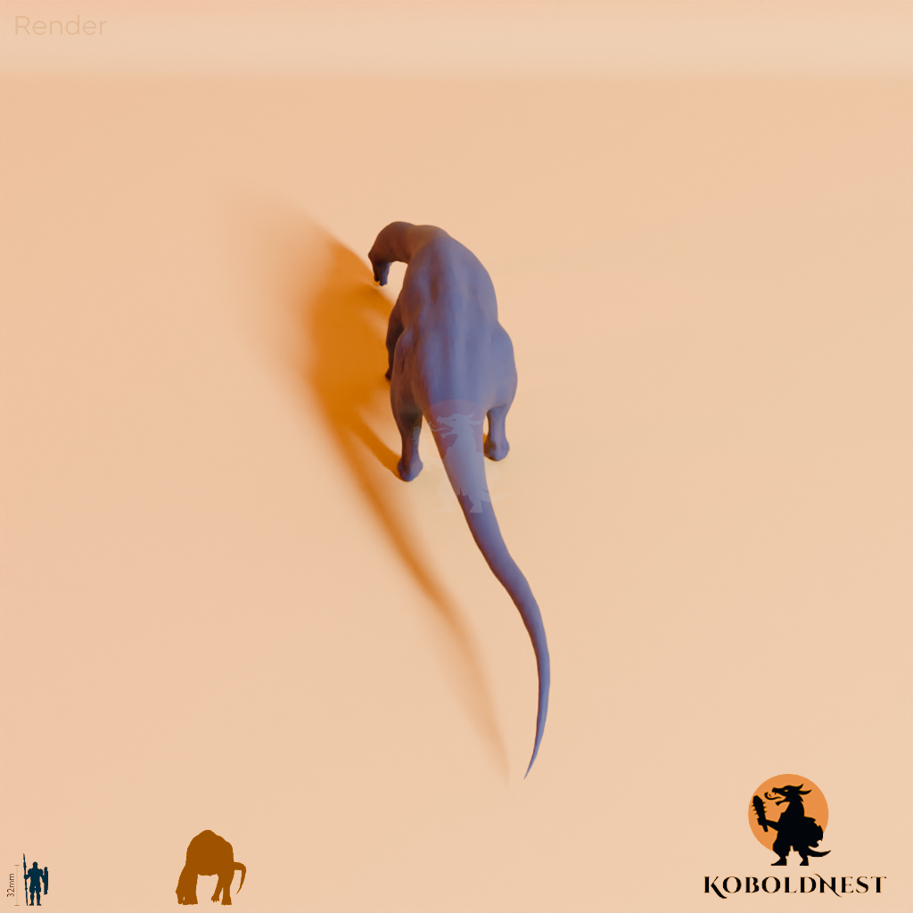 Astigmasaura genuflexa 02