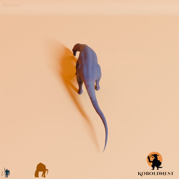 Astigmasaura genuflexa 02