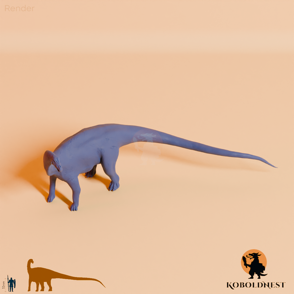 Astigmasaura genuflexa 03