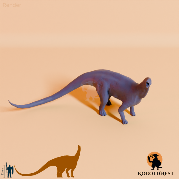 Astigmasaura genuflexa 04