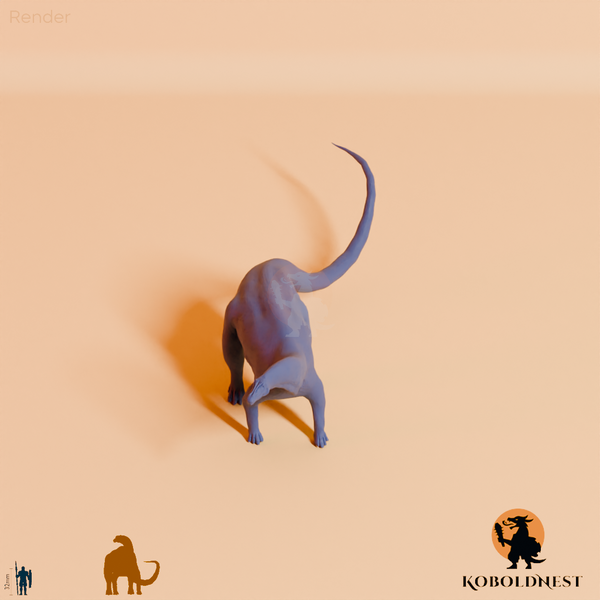 Astigmasaura genuflexa 05