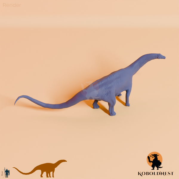 Astigmasaura genuflexa 05