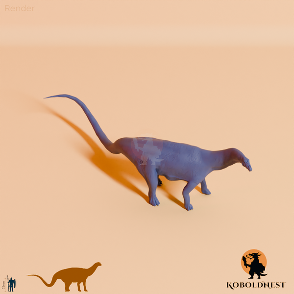 Astigmasaura genuflexa 05