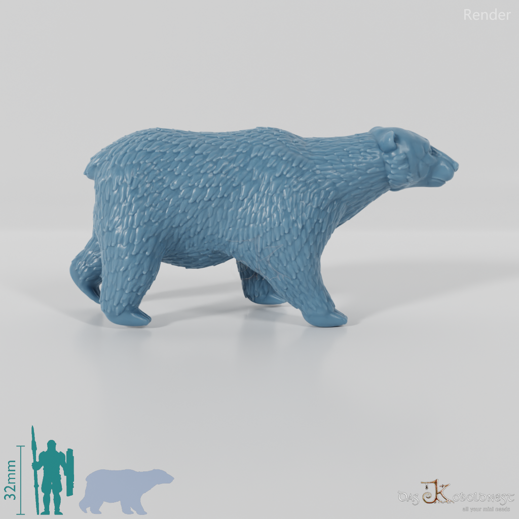 Bear - Polar Bear 01