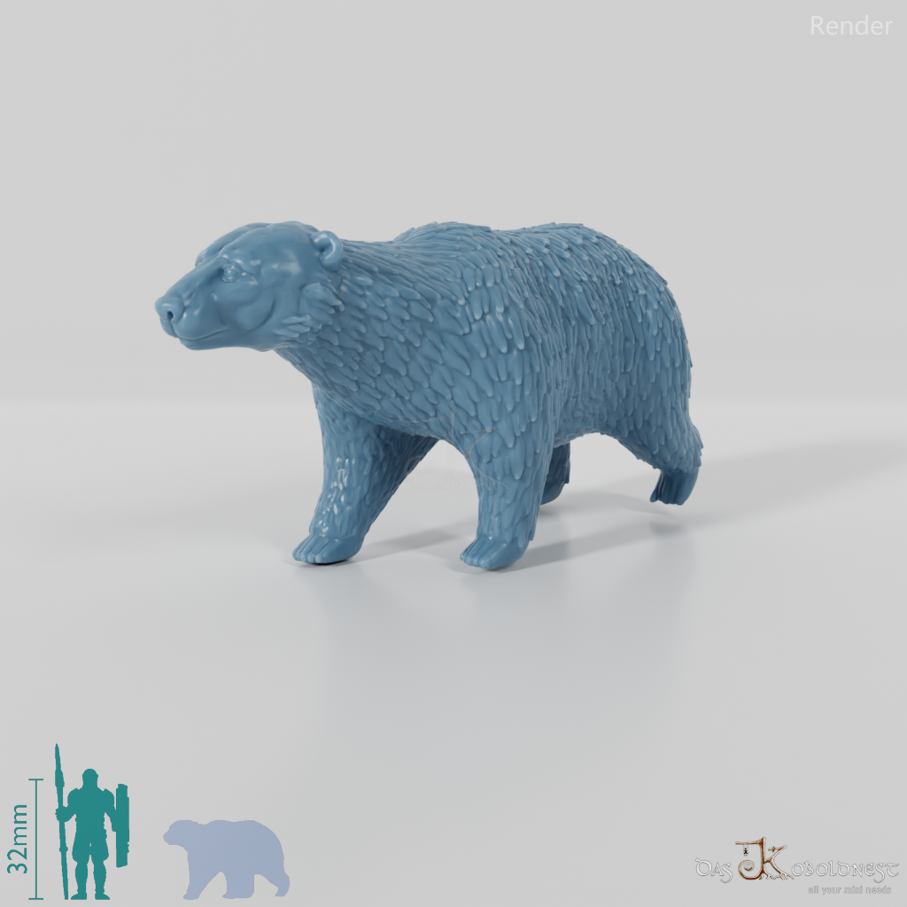Bear - Polar Bear 01