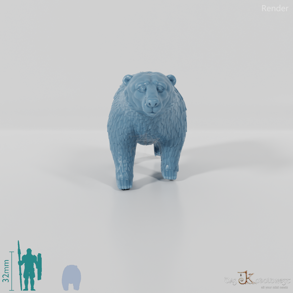 Bär - Eisbär 01