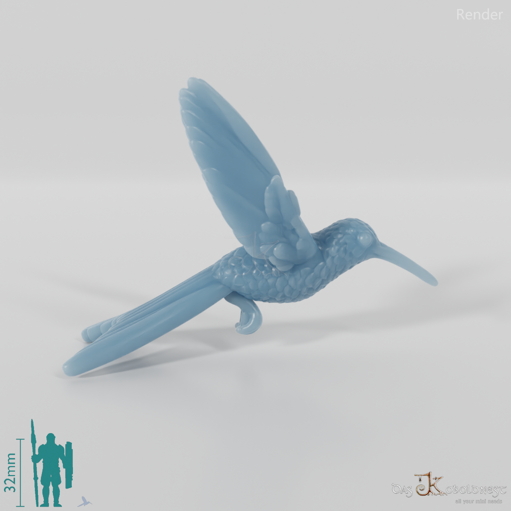 Kolibri - Kolibri 01