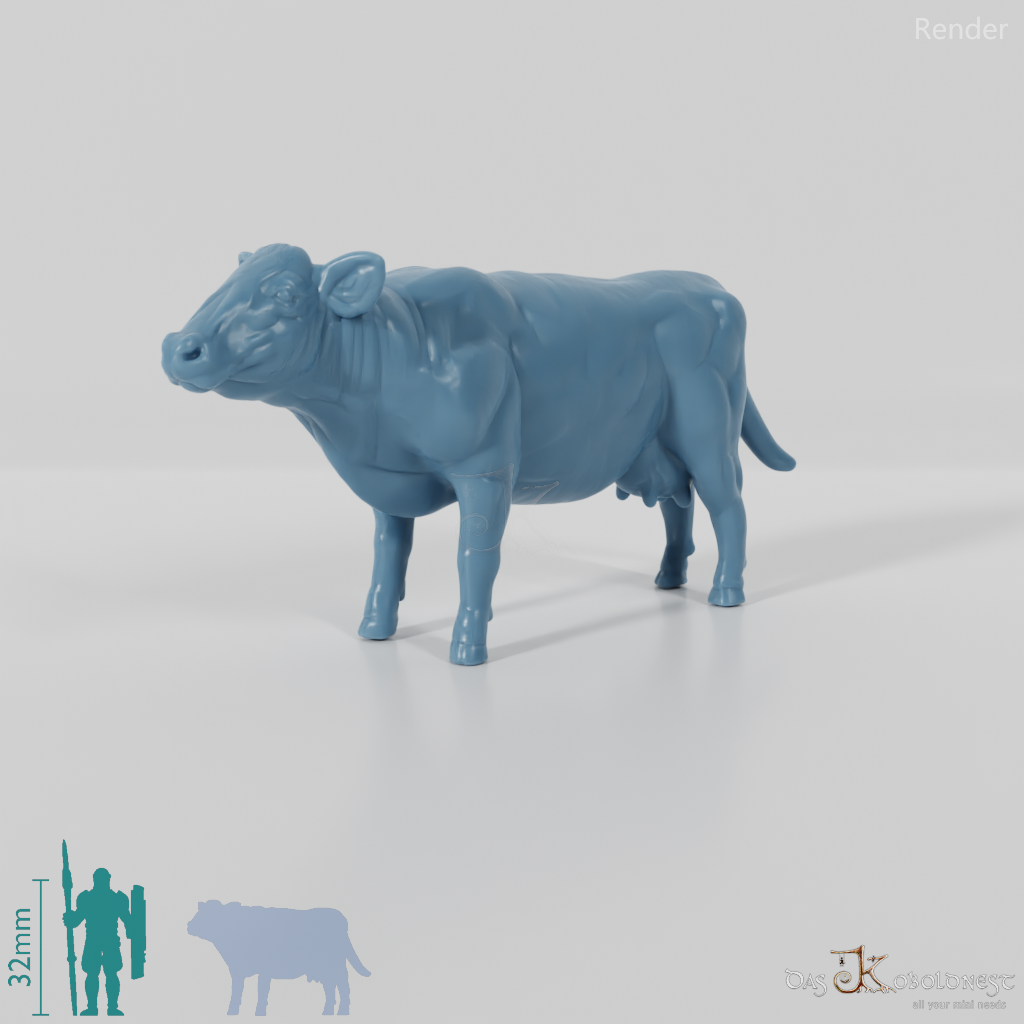 Beef - domestic cow 02