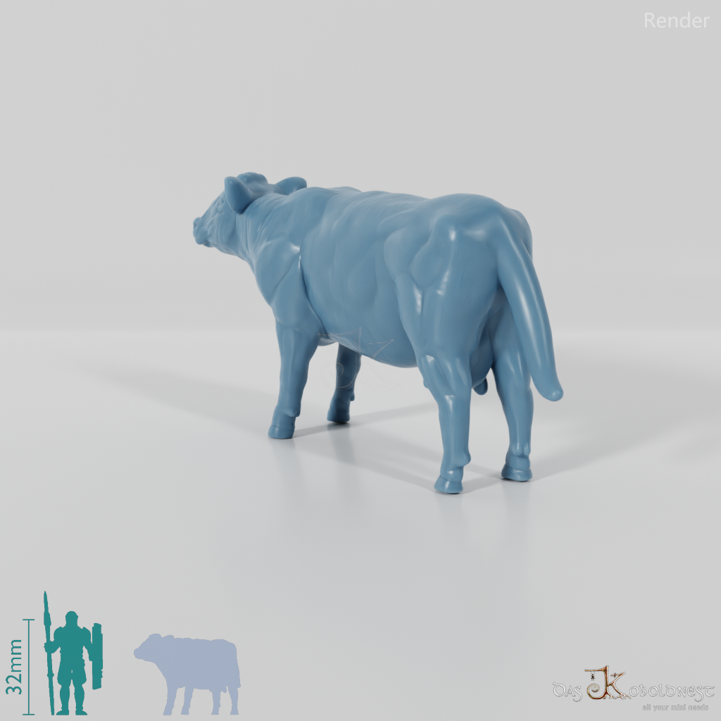 Beef - domestic cow 02