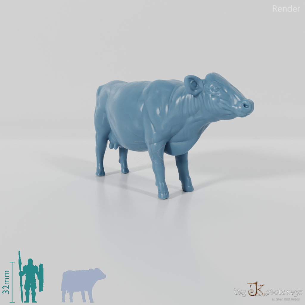 Beef - domestic cow 02