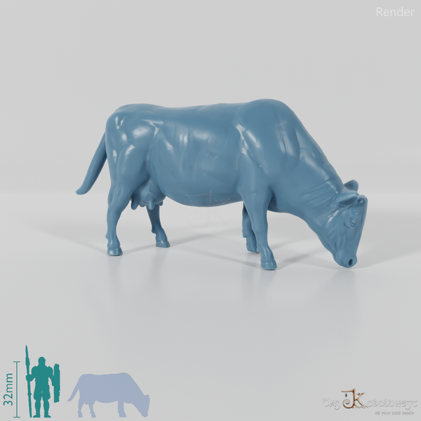 Beef - domestic cow 03