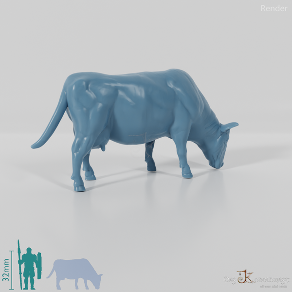 Beef - domestic cow 03