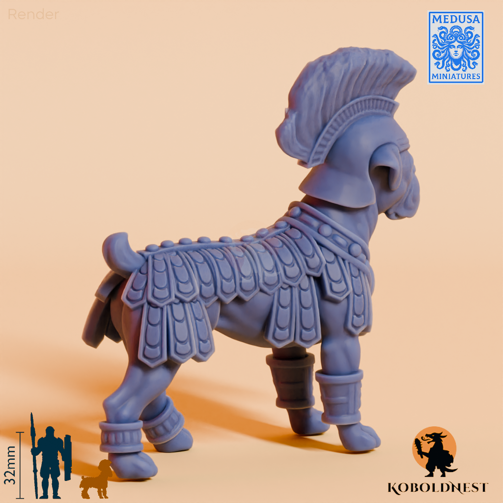Boxer-Legionnaire_render_80pitch_120deg.png