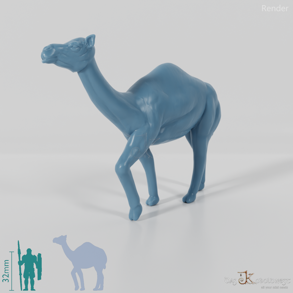 Camel - Camel 02