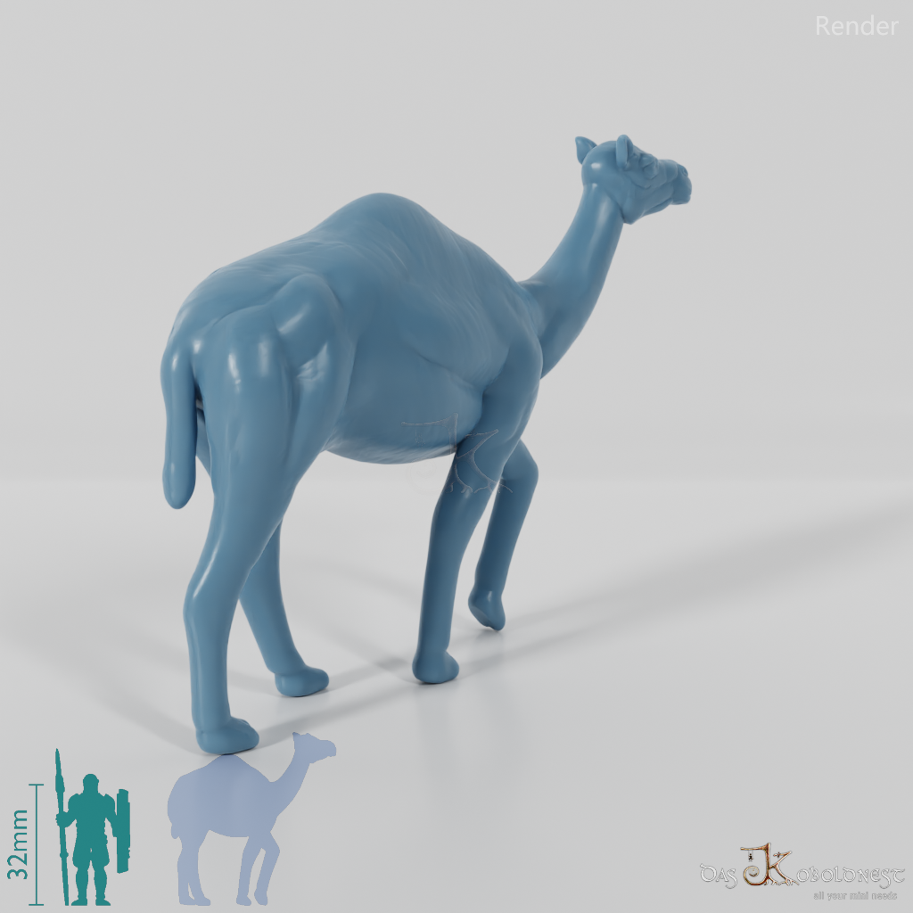 Camel - Camel 02