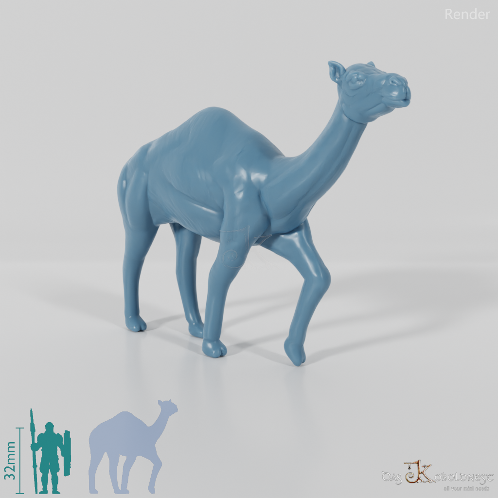 Camel - Camel 02