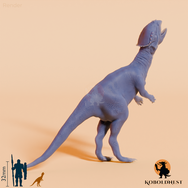 Chaoyangsaurus youngi 04