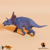 Chasmosaurus belli 02 - JJP