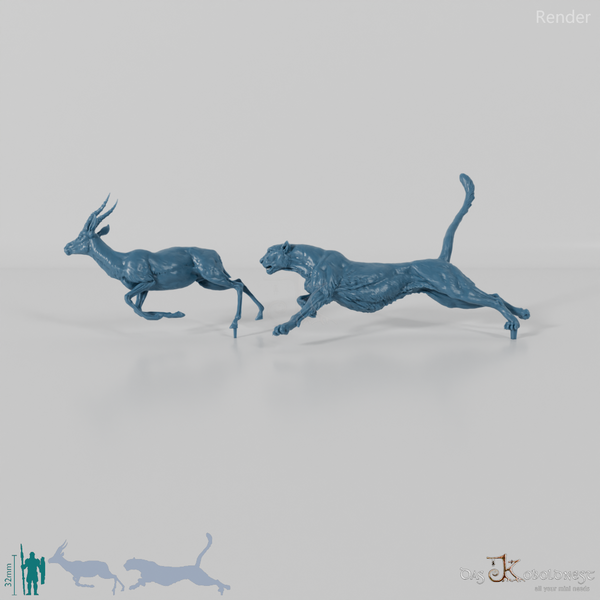 Big cat - cheetah hunting for Thomson's gazelle