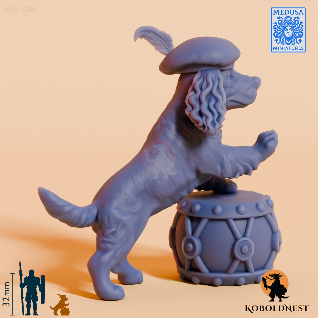 Cocker-Spaniel-Drummer_render_80pitch_120deg.png
