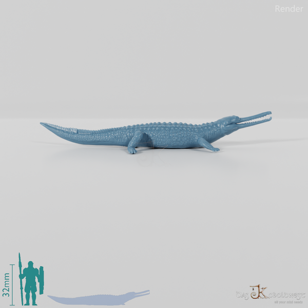 Crocodile - Gavial 01