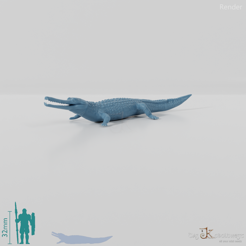 Krokodil - Gavial 01