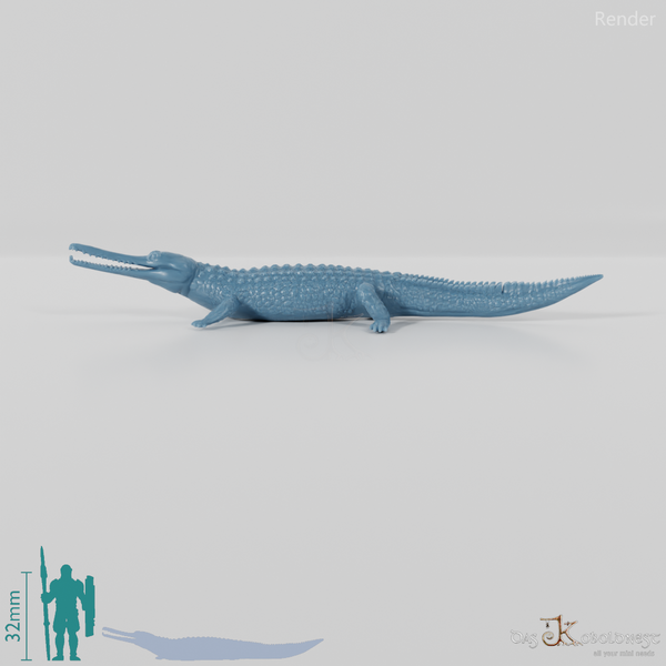 Crocodile - Gavial 01