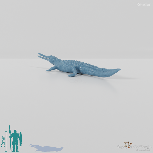 Crocodile - Gavial 01