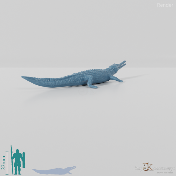 Crocodile - Gavial 01