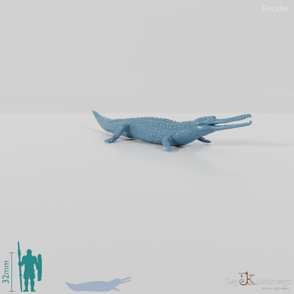 Crocodile - Gavial 01