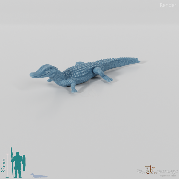 Krokodil - Glattstirnkaiman 01