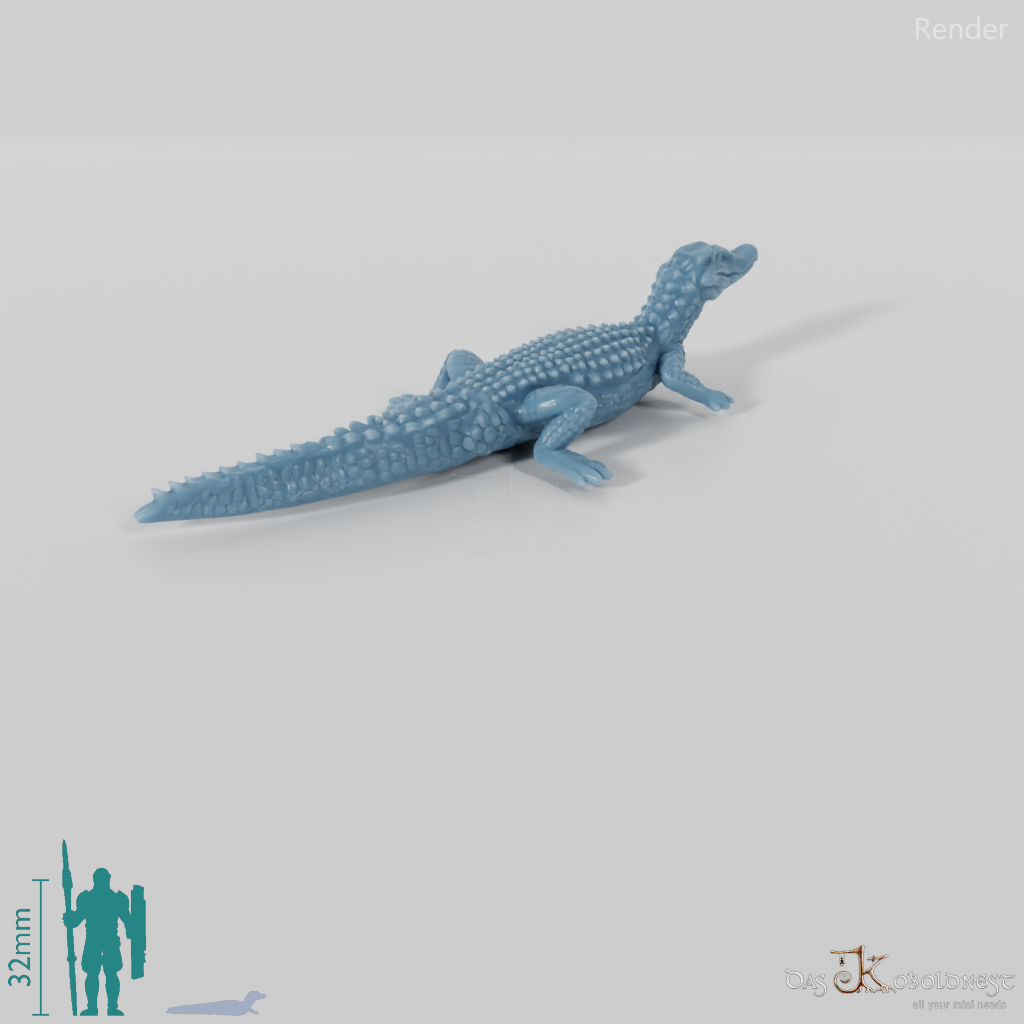 Krokodil - Glattstirnkaiman 01