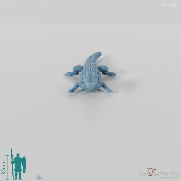 Krokodil - Glattstirnkaiman 01