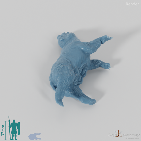 Diprotodon optatum 05 (Jungtierkadaver) - JJP