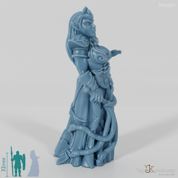 Dunkelelfen-Foltermeisterin