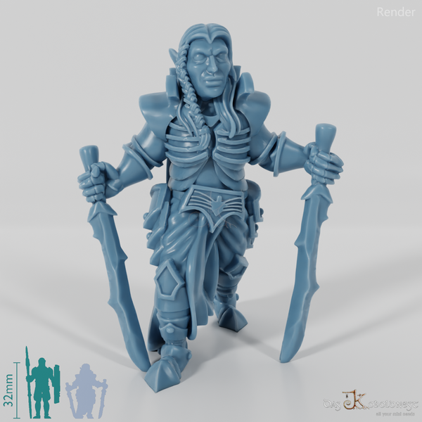 Dark Elf Swordsman