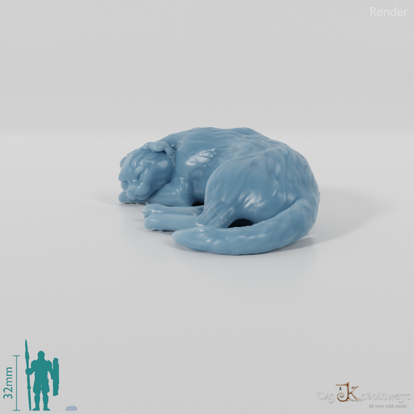 Cat - Deimos, sleeping cat