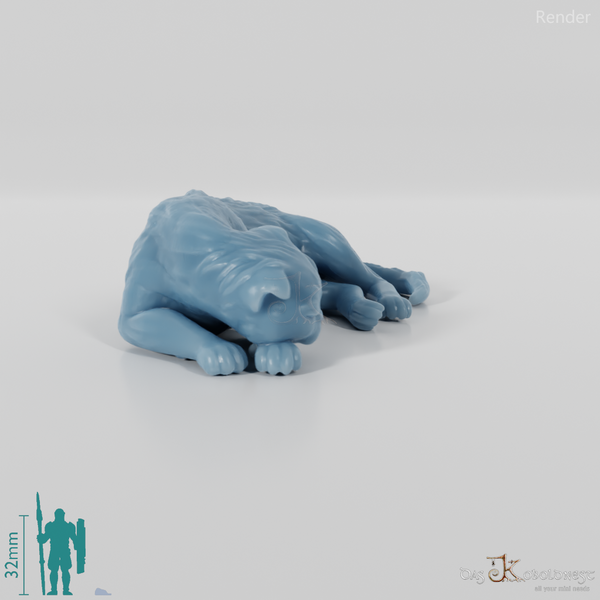 Cat - Deimos, sleeping cat