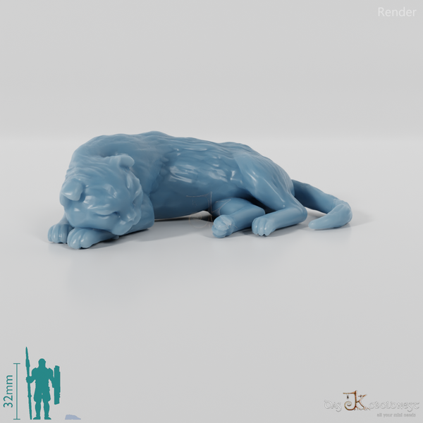 Cat - Deimos, sleeping cat