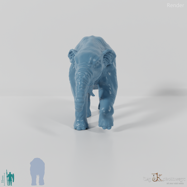 Deinotherium giganteum 00 - JJP