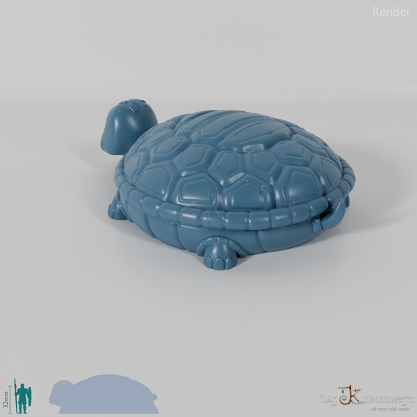 Würfelbox - Schildkröte